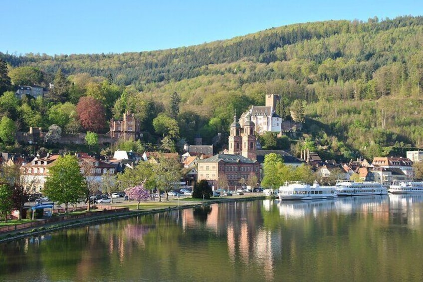 Miltenberg Private Walking Tour with Castle visit