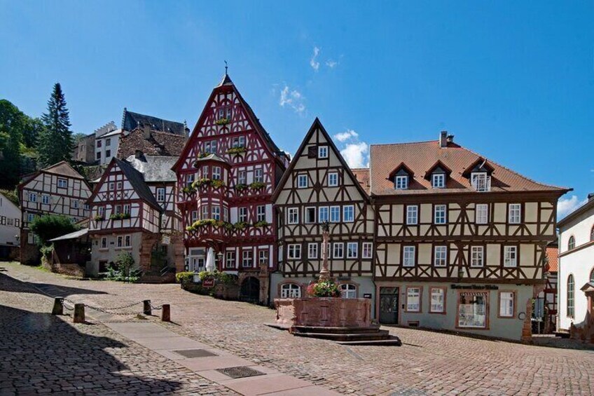 Miltenberg Private Walking Tour with Castle visit
