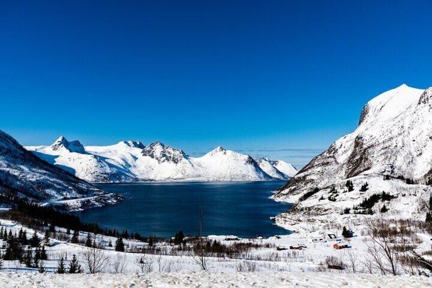 Tromso-Snowshoeing Excursion to Viewpoint