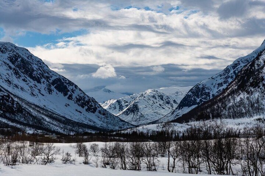 Tromso-Snowshoeing Excursion to Viewpoint