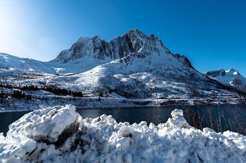 Tromso-Snowshoeing Excursion to Viewpoint