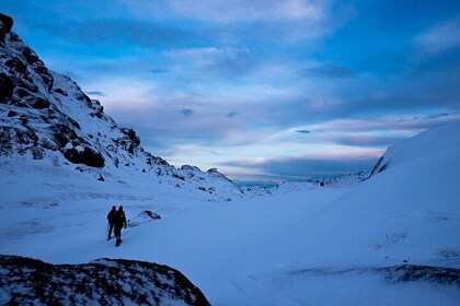 Tromso-Snowshoeing Excursion to Viewpoint