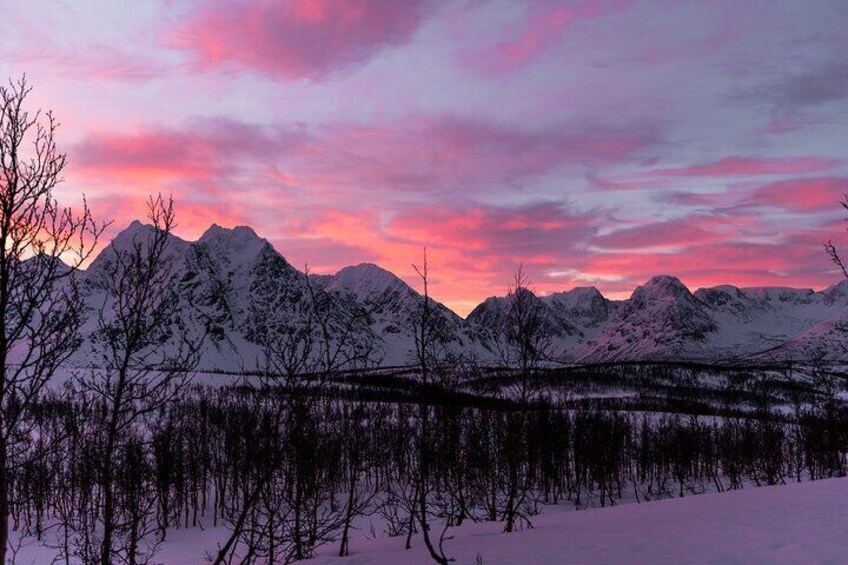 Tromso-Snowshoeing Excursion to Viewpoint