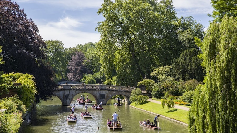 Dive into History: Cambridge & Medieval England from London