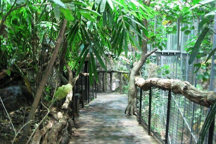 Universeum Adventure-Entry Ticket with pickup