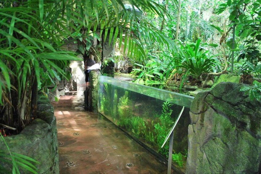 Universeum Adventure-Entry Ticket with pickup