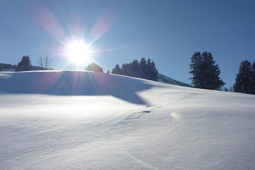 Snowshoe hike in the Allgäu