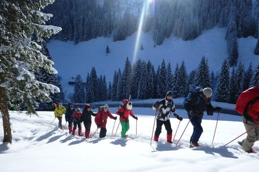 Snowshoe hike in the Allgäu