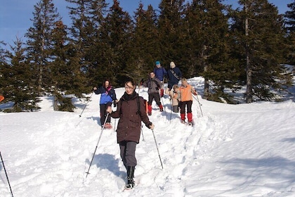 Snowshoe hike in the Allgäu