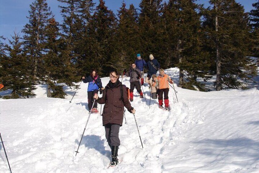 Snowshoe hike in the Allgäu