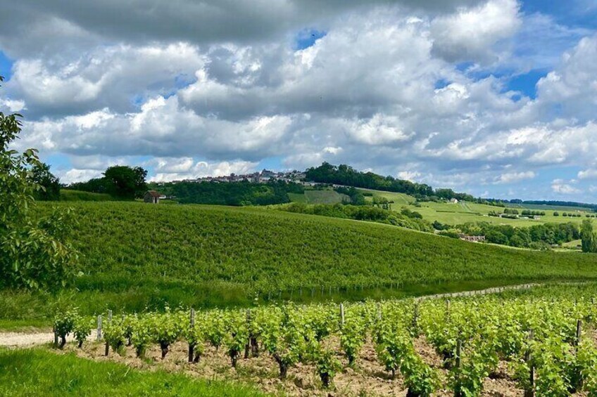 View of the Sancerre peak at the foot of the Montachins