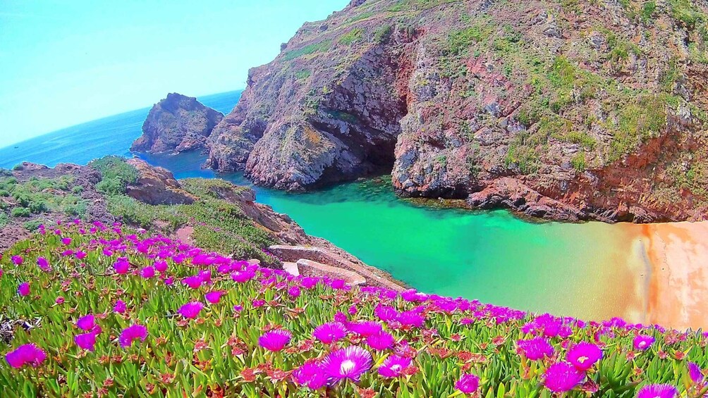 Picture 2 for Activity Peniche: Berlengas Island Catamaran Tour - Round Trip