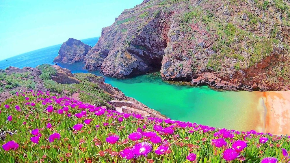 Picture 2 for Activity Peniche: Berlengas Island Catamaran Tour - Round Trip