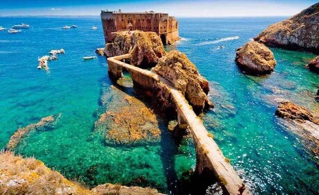 Peniche: Berlengas Island Catamaran Tour - Return