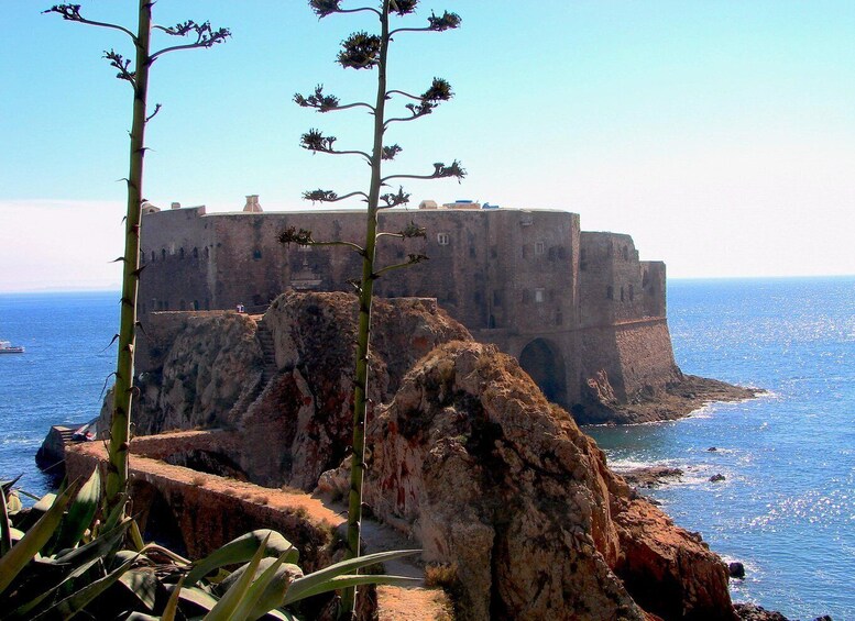 Picture 3 for Activity Peniche: Berlengas Island Catamaran Tour - Round Trip