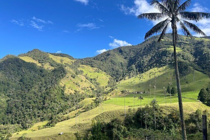 Cocora Valley Shared Tour