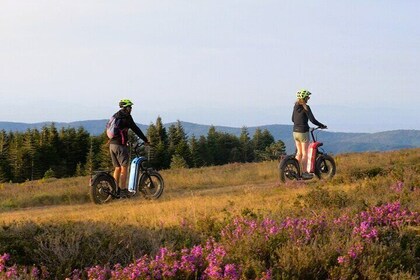 Explore the forests of Haut Languedoc on an electric scooter