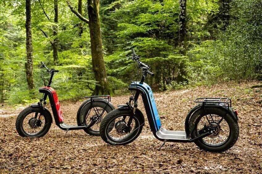 Our all-terrain electric scooters