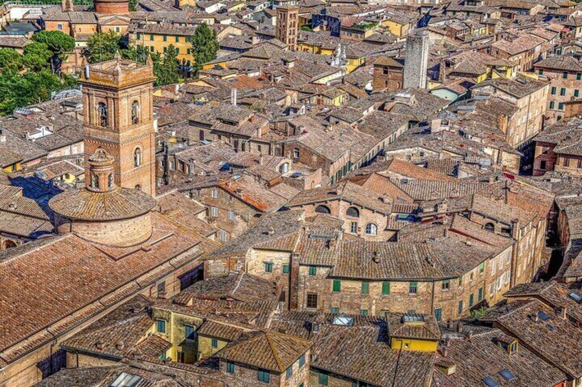 Siena Old Town Private Walking Tour