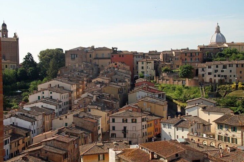 Siena Old Town Private Walking Tour