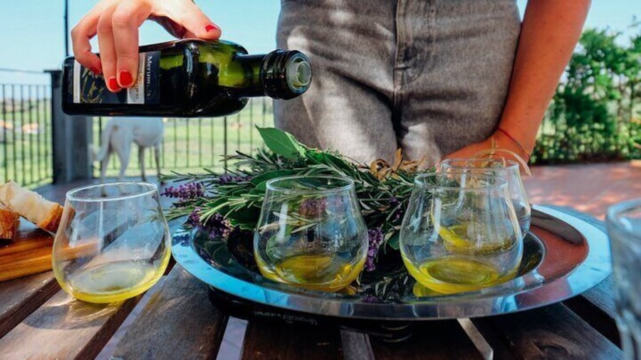 Private Premium Olive Oil Tasting Tour with a Pickup