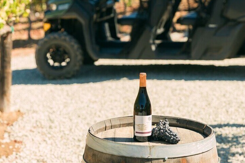 Grapes and Gears: Private ATV Vineyard Tour