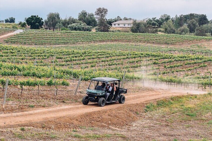 Grapes and Gears: Private ATV Vineyard Tour