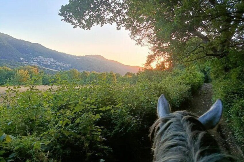 Italian BBQ and Horseback Ride on Mount Vesuvius by Night