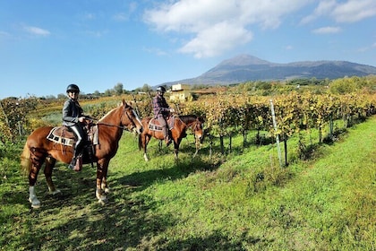 Horseback Riding on Mt. Vesuvius with Wine Tasting and Dinner