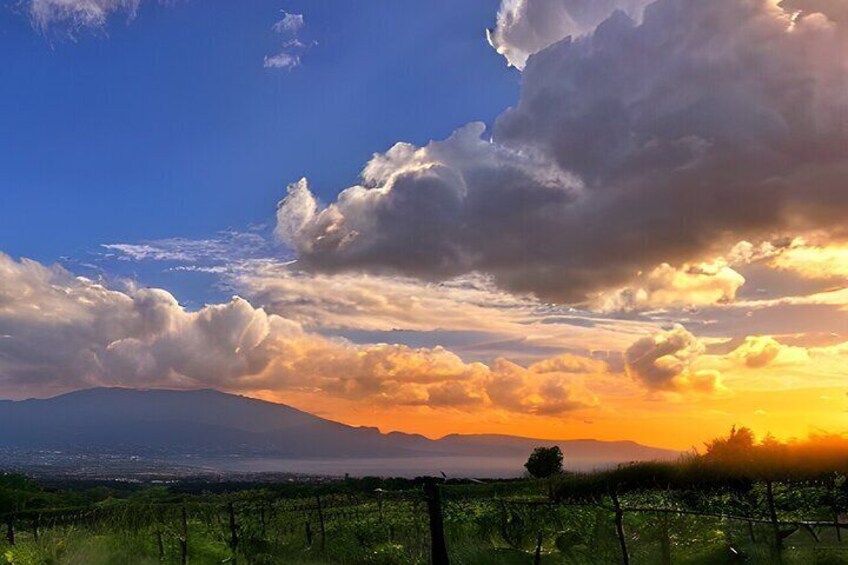 Italian BBQ and Horseback Ride on Mount Vesuvius by Night