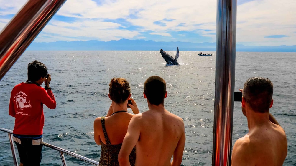 Puerto Vallarta: Mega Yacht Whale Watching Sunset Cruise