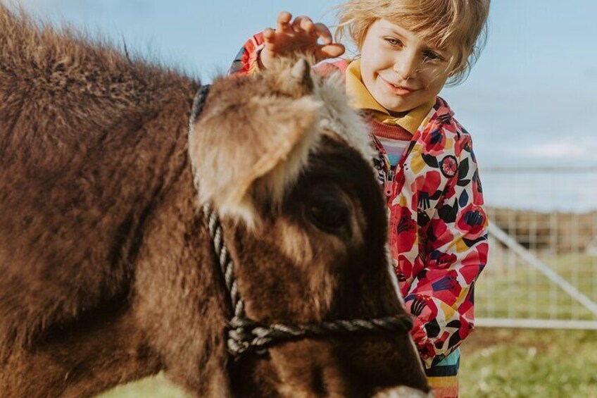 Farm Tour in Margaret River