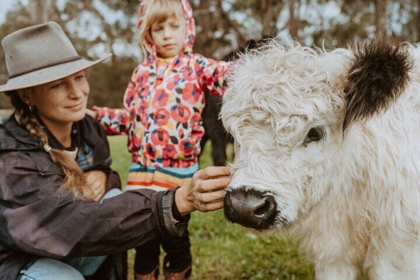 Farm Tour in Margaret River