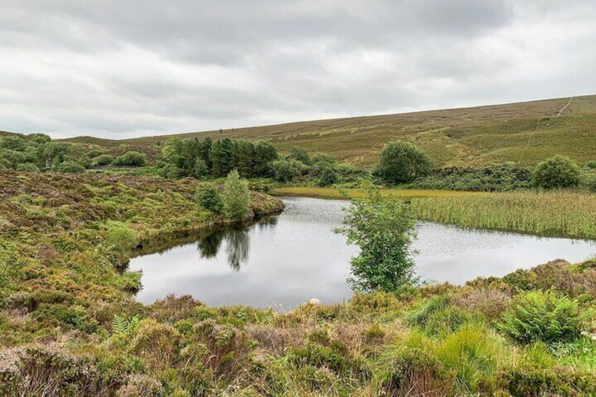 The Sperrin Mountains