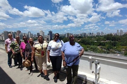 5 Hours Private Full Day City Tour in Sao Paulo