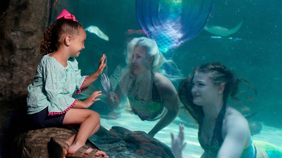 Picture 5 for Activity Ripley's Aquarium of Myrtle Beach Entry Ticket