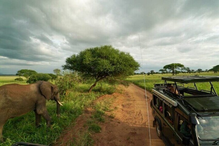 6 Days Wildlife and Cultural Experience Safari in Tanzania