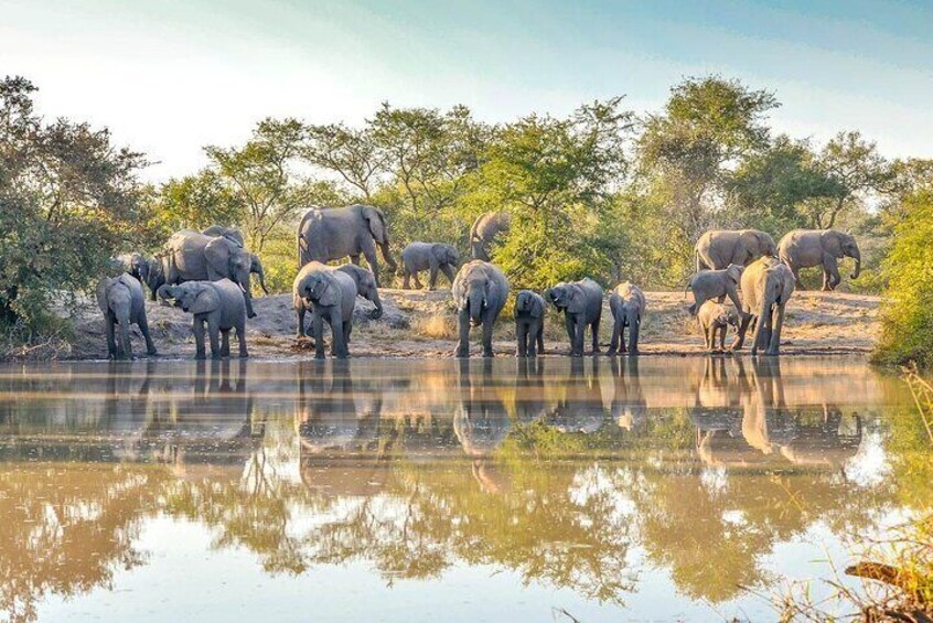 6 Days Wildlife and Cultural Experience Safari in Tanzania