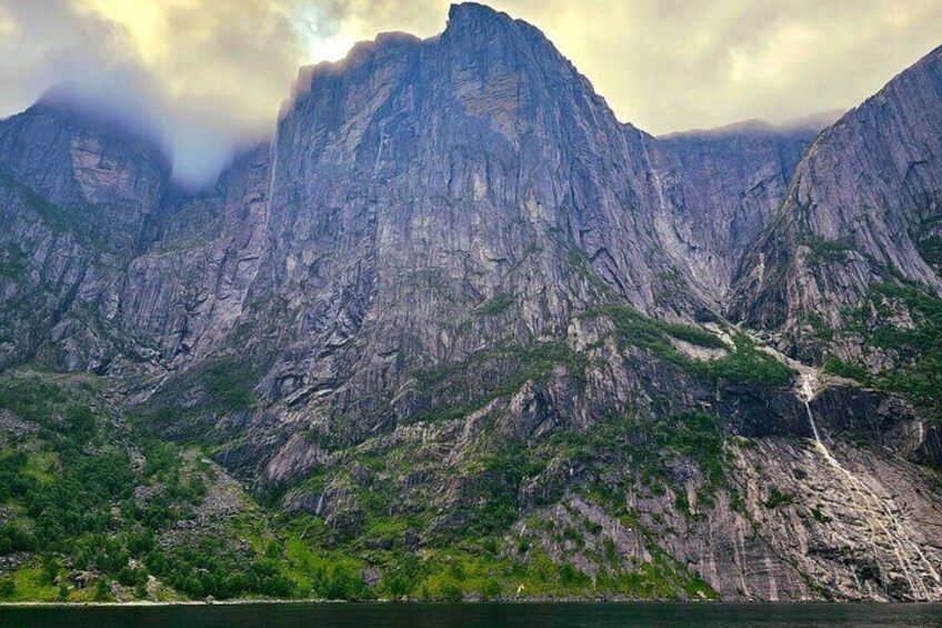 Small Group Fjord Safari Nature and Outdoor Experience in Forsand