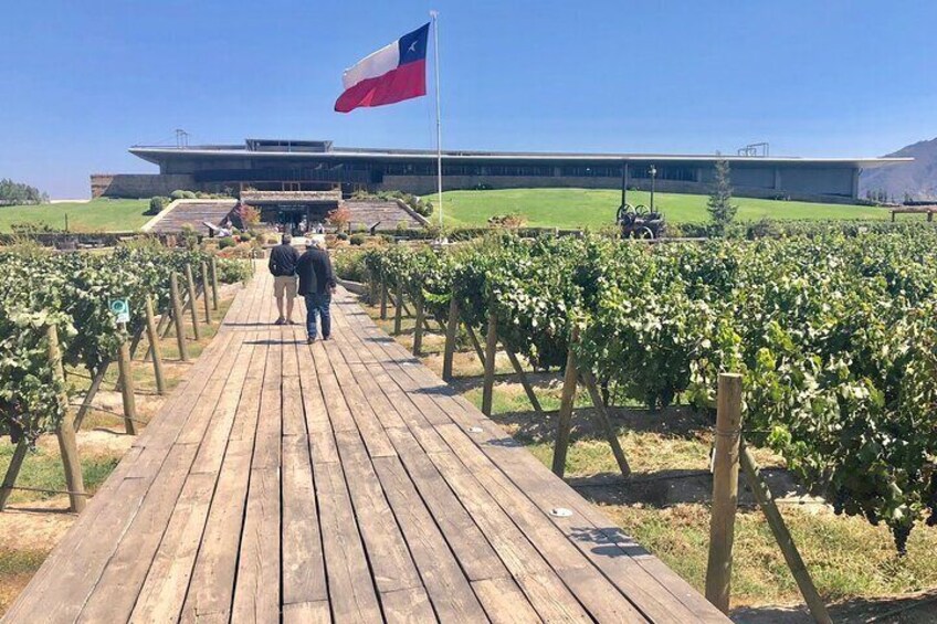 Colchagua Full day Luxury wine tour