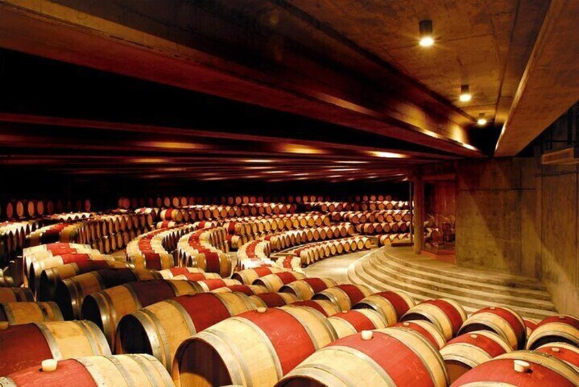 Colchagua Full day Luxury wine tour