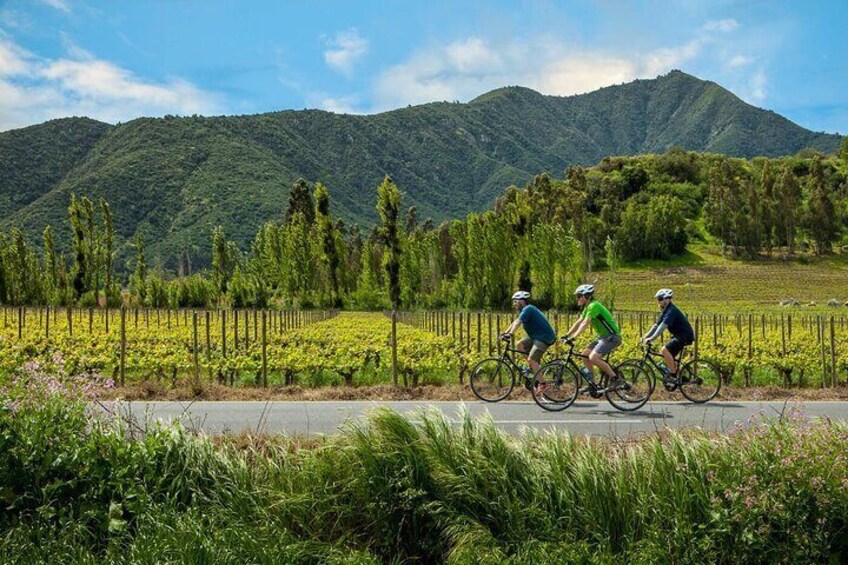 Colchagua Full day Luxury wine tour