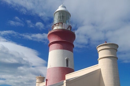 Cape Agulhas Southern Point of Africa Private Tour