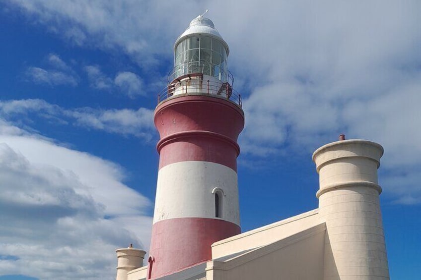 Cape Agulhas Southern Point of Africa Private Tour