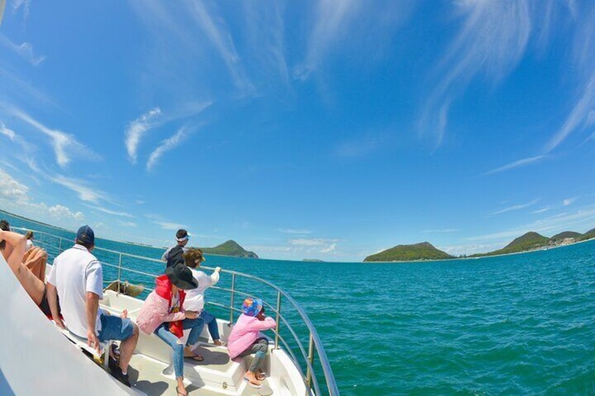 Port Stephens: Dolphin Watch Eco Adventure