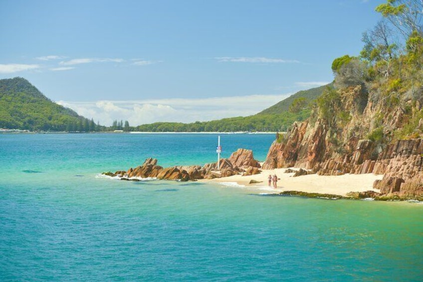 Port Stephens: Dolphin Watch Eco Adventure