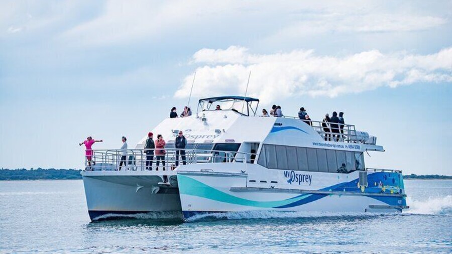 Port Stephens: Dolphin Watch Eco Adventure