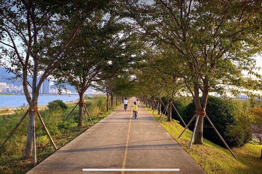 See the sea while cycling on a bike path