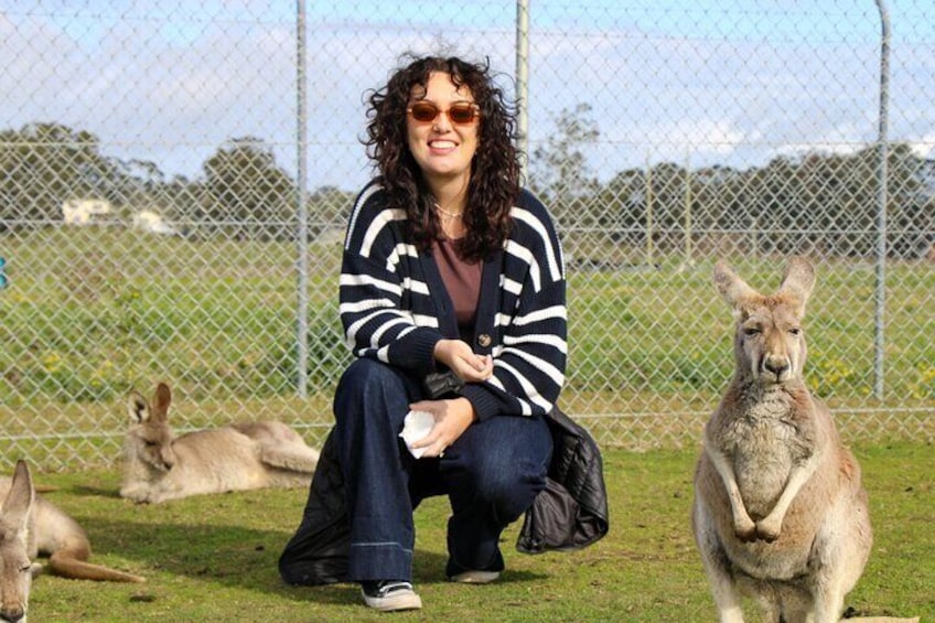 Newcastle: Animal Lovers Tour - Kangaroos, Dolphins & more!