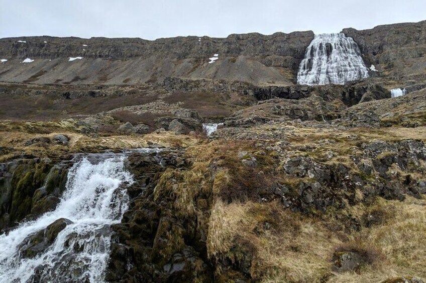 Isafjordur Shore Excursions Dynjandi Waterfalls and Farm 
